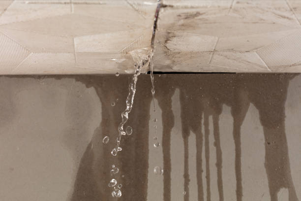 Professional Water Damage Repair technician working in Krum, TX